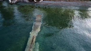 Yunanistan 'da vahşi bir plajın yakınında, deniz kestaneleriyle kaplı eski bir beton yapıyı ortaya çıkarıyor. Açık mavi su ve çevreleyen orman burayı büyüleyici bir Akdeniz dalış noktası yapıyor..