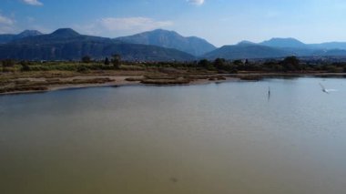 Yunanistan 'da barış dolu bir göl flamingolara, balıkçıllara ve kuğulara ev sahipliği yapıyor. Dağlar bu zengin Akdeniz sulak arazisinin güzelliğini artırırken kuşlar uçar ve dinlenir..