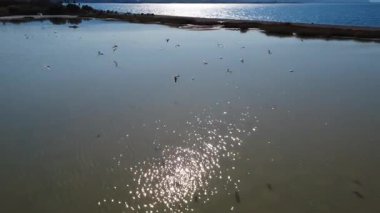 Pek çok türe ev sahipliği yapan bu barışçıl bataklık akşam güneşinin altında parlar. Akdeniz manzarası Yunanistan 'daki doğanın uyumunu yansıtıyor.