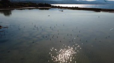 Günbatımında Yunanistan 'da ender kuşlar sessiz bir göl üzerinde süzülür. Akdeniz 'in sıcacık parıltısı sulara dokunurken akbalıkçıllar ve kuğular yakınlarda dinleniyor. İnsansız hava aracı görüntüleri bu doğal sığınağın güzelliğini yakalar..