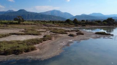 Yunanistan 'daki barışçıl bir göl, sığ sularda uçan kuş sürüleri arasında dağlar ve ağaçları yansıtıyor. Akdeniz habitatı vahşi yaşam ve doğal sükunetle doludur..