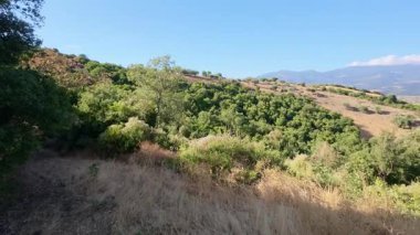 Ağaçlar, vadiler ve çayırlarla kaplı vahşi Akdeniz tepelerinin panoramik görüntüsü. Parlak güneş ışığı Yunanistan ve Avrupa 'nın kırsal manzarasını dolduruyor.