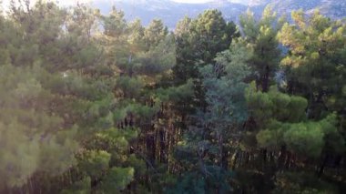 En eski yüksek irtifa taşlarından biri sık çam ormanları aracılığıyla ortaya çıkan dağ köyleri inşa etti. Dik bir dağ yamacında inşa edilmiş. Avrupa, Yunanistan.