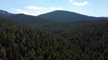 Sağlıklı bir köknar ormanı yüksek dağ yamaçlarını uzak sırt manzarası ile kaplar ve hiçbir insan yapısı yoktur. Yunanistan ve Avrupa 'da manzara doğal olmaya devam ediyor.