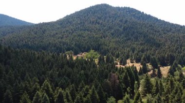 Tepeler boyunca yayılan firavun ağaçları uzak bir zirveye ulaşırken, ovadaki bir açıklık da sarı yaz çimlerini ve Yunanistan 'ın bu uzak doğal ortamının bazı kısımlarını gölgeleyen bulutları gösteriyor..
