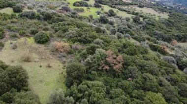 Zeytin ağları, Yunanistan ve Avrupa 'daki kaliteli zeytinyağı üretimi için meyve toplamak amacıyla vadilerdeki eğimli arazilere yayılmıştır..