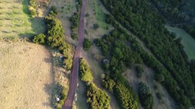 Yoğun Akdeniz ormanları ve Yunanistan ve Avrupa 'da açık vadi tarım arazileri üzerinden uzak bir toprak yol bir dağ yamacını geçer..