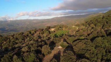 İzole edilmiş bir dağ manzarası yoğun ormanı, çayırı ve zeytinliği olan küçük bir açıklığı ve Yunanistan, Avrupa 'da ağaçlar arasında gizlenmiş dar toprak bir yolu gözler önüne seriyor..