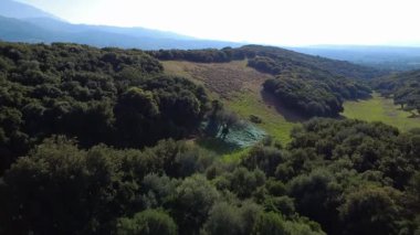 Yunanistan, Avrupa 'da bir dağ yamacındaki yoğun Akdeniz ormanlarından çıkan büyük bir eski zeytin ağacının altına bez saçan çiftçiler.