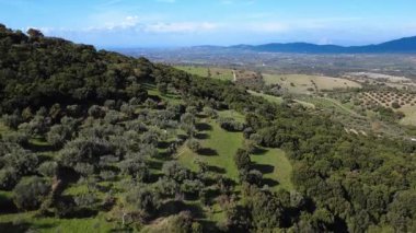Yunanistan ve Avrupa 'daki verimli ovalara ve sıradağlara ulaşan zeytin ağaçlarıyla kaplı Akdeniz tepelerinin geniş manzarası. Doğal turizm kavramı tarımla el değmemiş kırsal kesimi harmanlıyor..