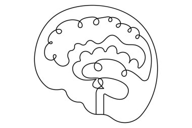 Human brain continuous one line drawing of isolated outline vector minimalist style.