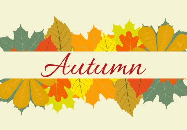 Sonbahar yaprakları ayarla, Ekim renkli