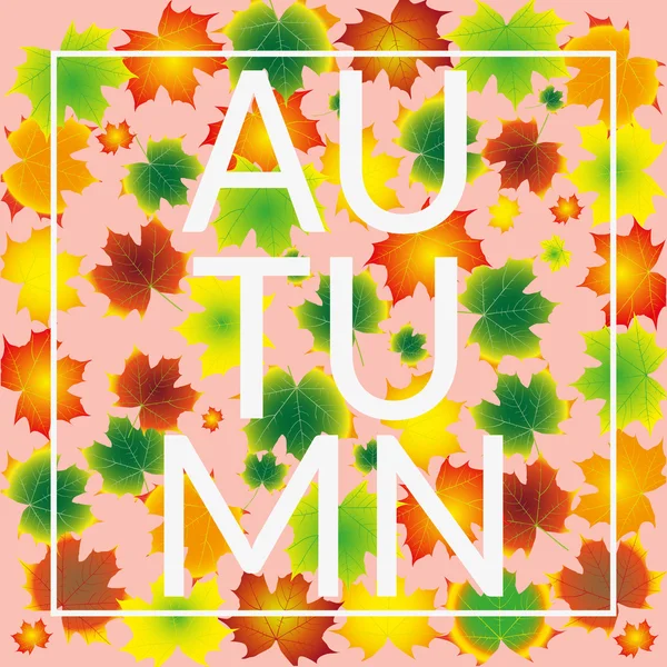 Autumn Leaves Set, october colorful — Stock Vector