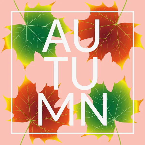 Autumn Leaves Set, october colorful — Stock Vector