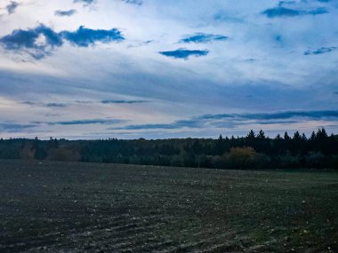 Fotoğraf, ufuk çizgisine uzanan bir alanın geniş, sabanla sürülmüş ya da basitçe karanlık bir bölümünü yakalar. Uzakta, yoğun bir karışık ya da kozalaklı orman şeridi görünür, kara ve kara arasında karanlık bir sınır oluşturur.