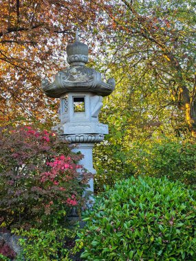 Zarif, uzun granit bir fener canlı sonbahar yaprakları ve zen bahçesindeki yeşil çalıların arasında duruyor. Sıcak akşam ışığı taşın karmaşık oymalarını ve çevreleyen doğanın zengin renklerini güçlendirir..