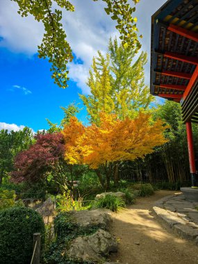Geleneksel kırmızı pagoda çardağı, taş yolları ve parlak mavi gökyüzü altında kırmızı, sarı ve yeşil akçaağaçlarla dolu canlı bir sonbahar yeşilliği olan güzel bir Japon bahçesi..