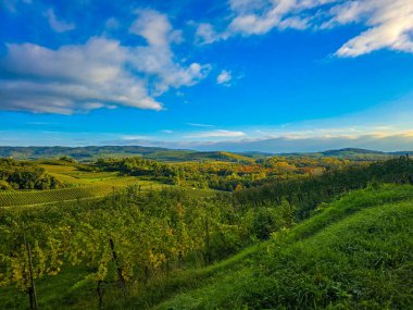 Yuvarlanan üzüm bağlarının ve tepelerin eteklerinde yuva yapmış büyüleyici bir Avrupa köyünün bulunduğu yemyeşil bir vadinin nefes kesici panoramik manzarası. Yumuşak akşam ışığı bulutların arasından süzülerek manzaranın üzerine güzel bir ışık saçıyor. Mükemmel bir şapka.