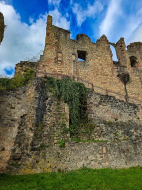 Orta çağ 'dan kalma harap bir kalenin yüksek taş duvarları ve kuleleri kısmen yeşil sarmaşıklarla kaplı ve bulutlu bir gökyüzünün altındaki bitkilerle dolu..