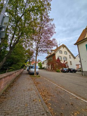 Sonbaharda bir Avrupa köyünde sakin bir yerleşim yeri. Odak noktası, kısmen canlı kırmızı tırmanma sarmaşığıyla kaplı yüzü olan çok katlı güzel bir ev. Düşmüş yaprakları olan asfalt bir kaldırım taştan bir duvarın yanında, park halinde.