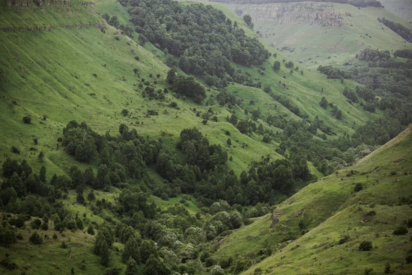 stock image Green mountain range landscape in summer