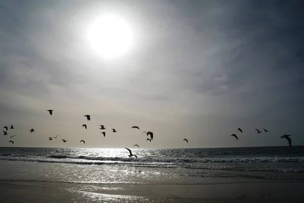 Puesta de sol en la playa de Nouakchott — Foto de Stock