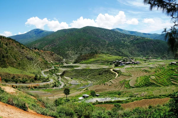 Valle di Lobesa con monastero Chimi Lhakhang — Foto Stock