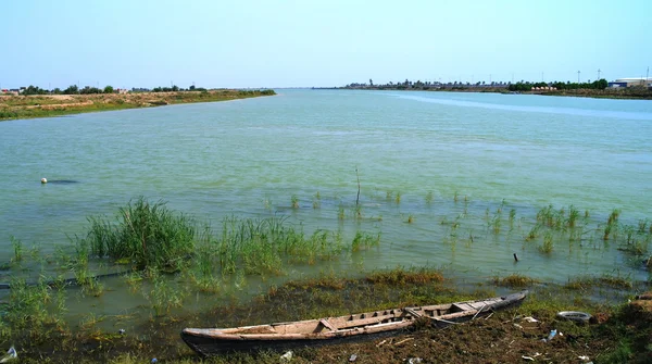 Fırat ve Tigris izdiham