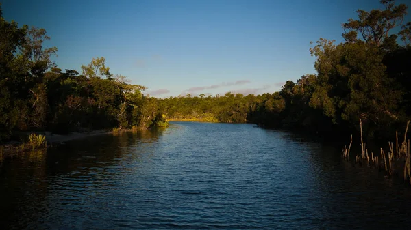 Пейзаж Канала Между Расоабе Озерами Раномаинти Провинции Тоамасина Мадагаскар — стоковое фото