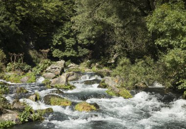 Gürcistan'daki dağ nehir.