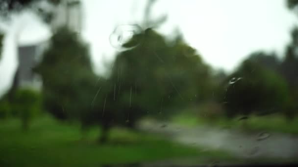 Raindrops Hit Glass Scatter Spray Defocused Green Trees Park Visible — Stock Video