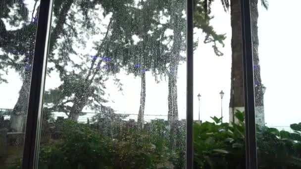 Vue Véranda Vitrée Pluie Été Arbres Humides Par Mauvais Temps — Video