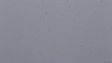 Şiddetli hava ağır kar yağışı yakın çekim. Kar taneleri düşer ve dans eder. Gri kasvetli gökyüzü