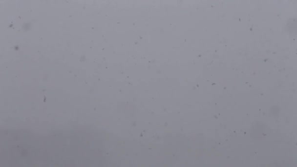 恶劣天气下大雪 特写镜头 雪花飘落 舞动着 灰暗的天空 — 图库视频影像