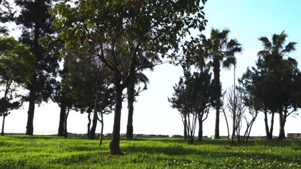 Giovane Con Una Maschera Sportiva Cammina Lungo Viale Nel Parco — Video Stock