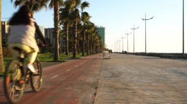 Aktif sağlıklı yaşam tarzı. Dişi bisikletçiler spor için dışarı çıkarlar. Palmiye ağaçları ve bisiklet yolu olan bir bulvar. Kızlar bisiklete biner