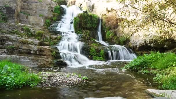 山の峡谷で滝のカスケード 崖からの水の流れの透明ストリームは 緑の植生で生い茂った 清流は石流に沿って流れ落ちる — ストック動画
