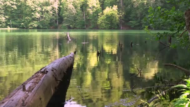 Divoké Jezero Lese Horské Svahy Zarostlé Stromy Odrážejí Klidné Vodní — Stock video