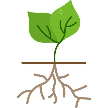 Kök Sistemi simgesi. Yaprakları ve kökleri olan bitki