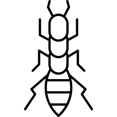 Ayrıntılı özelliklere sahip Siyah Rove Beetle çizimi
