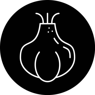 Dairesel arkaplanda sarımsak ampulünün siyah-beyaz çizimi.