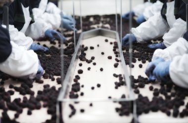 ellerinde eldiven ahududu çekme 