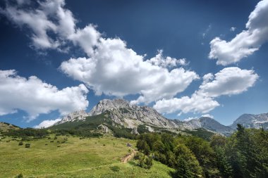 kayalık dağ ısmarlayarak