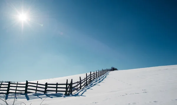 Hek op veld bedekt met sneeuw — Stockfoto