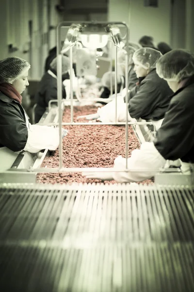 Arbeiter in Handschuhen pflücken Himbeeren — Stockfoto