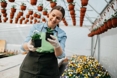 Mutlu ve pozitif genç bir kadın serada çalışıyor ve güzel çiçeklerle eğleniyor..