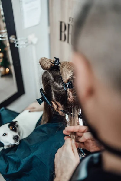 Hairdresser is dyeing female hair, making hair highlights to his client with a foil. She is wearing protective face mask as protection against virus pandemic.