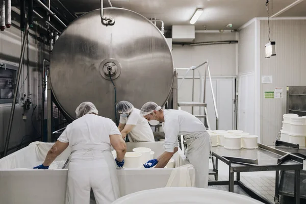Manuella Arbetare Ost Och Mjölkproduktionsanläggningen Traditionell Europeisk Handgjord Hälsosam Livsmedelstillverkning — Stockfoto