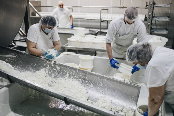 Trabajadores Manuales Fábrica Producción Quesos Lácteos Fabricación Tradicional Europea Alimentos —  Fotos de Stock