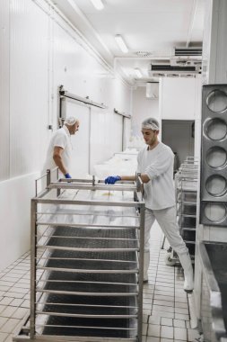 Peynir ve süt süt süt üretim fabrikasındaki el işçileri. Geleneksel Avrupa el yapımı sağlıklı gıda üretimi.